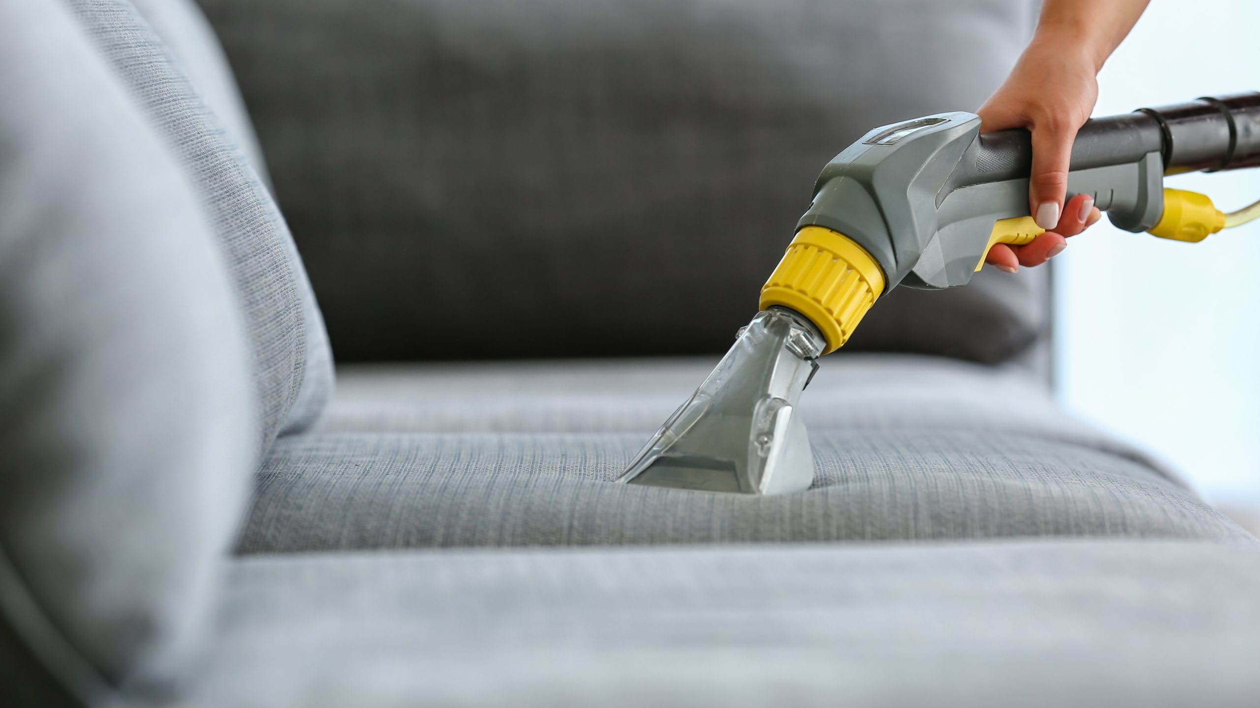 Aluguer de máquinas de limpeza